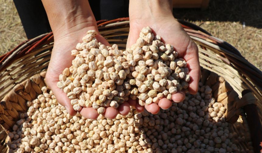 Cimbiti Nohutu’na coğrafi işaret başvurusu