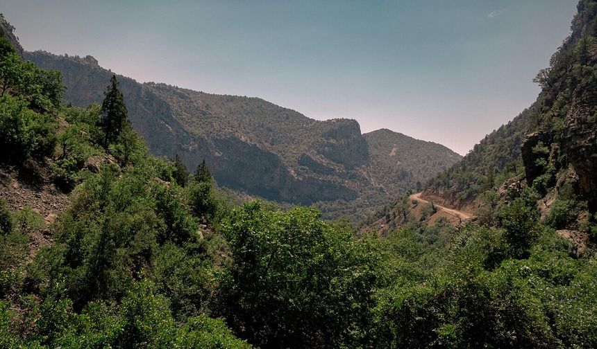 Antalya'da orman sınırları yeniden çizildi
