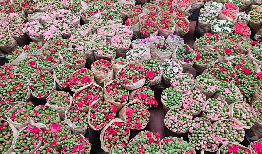 Kesme çiçek sektöründe ihracat rekoru