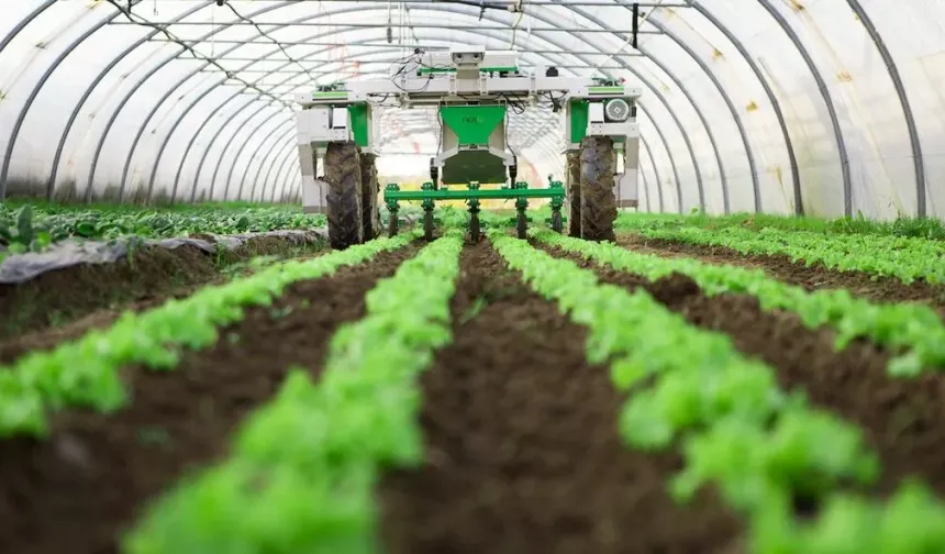 Tarıma ‘sosyal medya fiyatı’ denetimi gelmeli