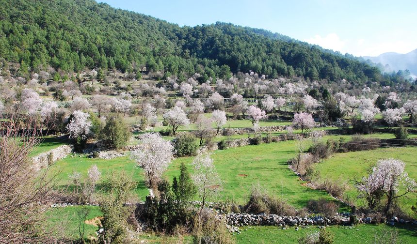 Antalya'da renk cümbüşü