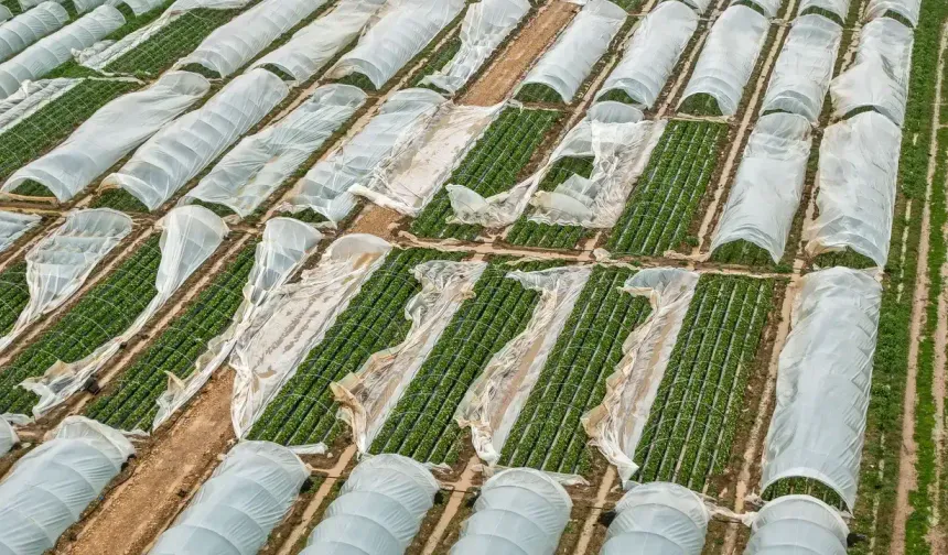 Antalyalı çiftçiye verilen destek yeterli mi?