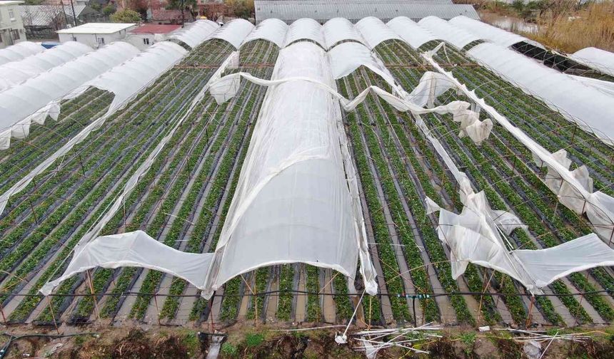 Atıklara karşı ‘Tarımsal plastik yönetim sistemi’ önerisi