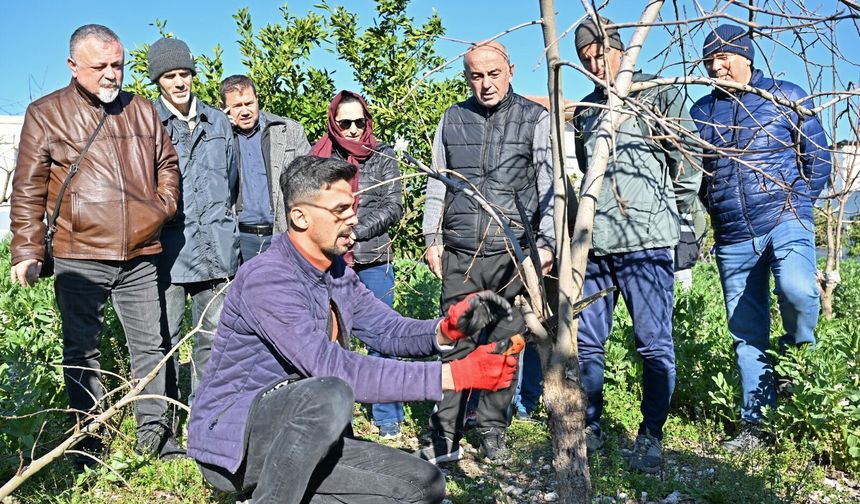 Antalya'da ağaç budama eğitimi
