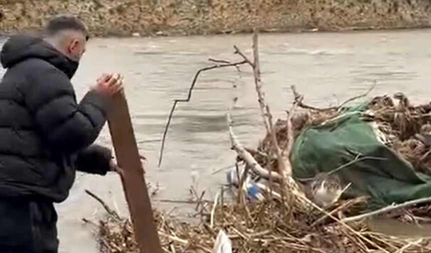 Çayda mahsur kalan kediyi vatandaş kurtardı