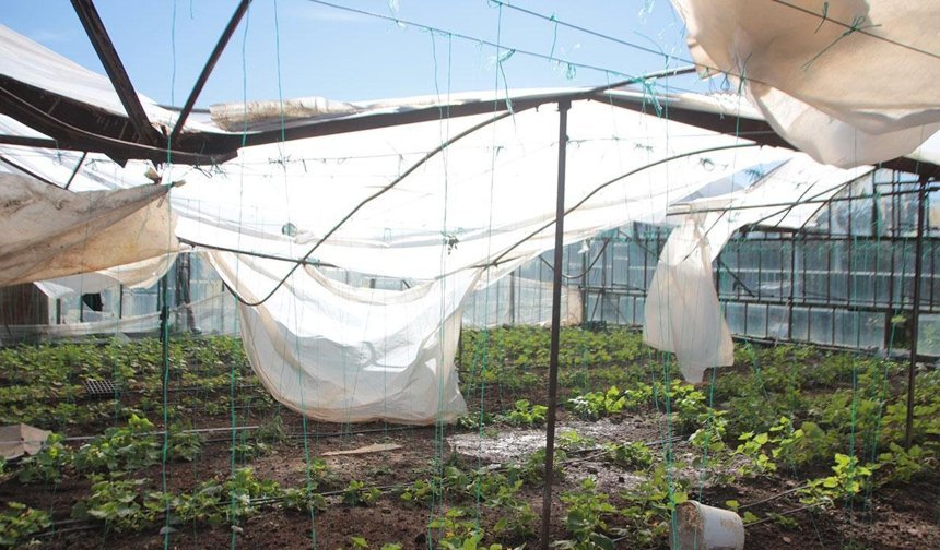 Tarım sigortasında yeni atılımlar şart