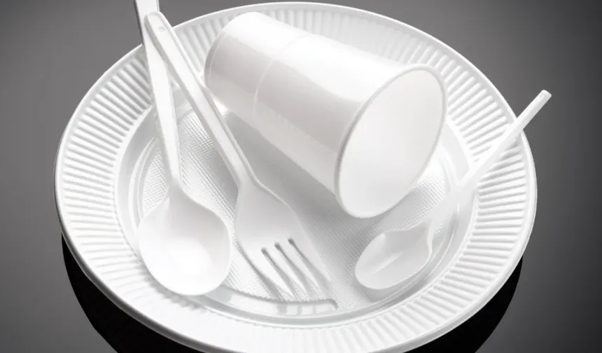 Çevre mühendislerinden yasak yorumu: Evet ama yetmez