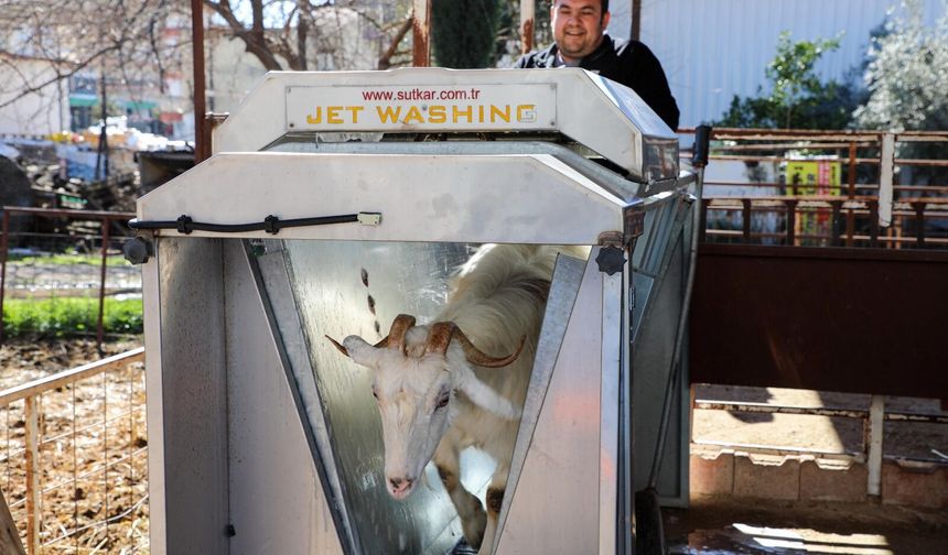 Döşemealtı'da ücretsiz dış parazit uygulaması yapıldı