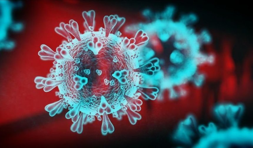 Koronavirüs kol geziyor