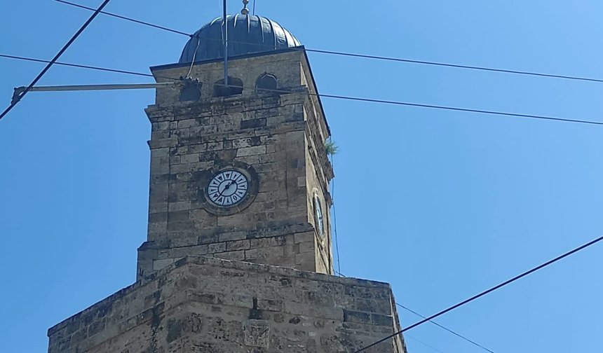 Turistlerin şaşkınlığı