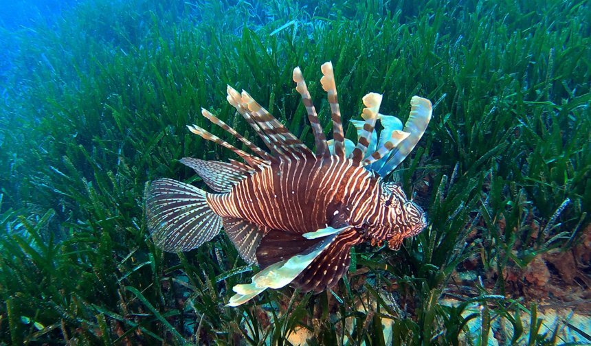 Akdeniz'de 'çıkmaz yol'
