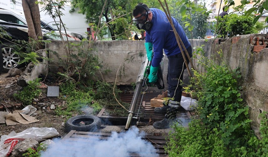 Antalya'da vektörle mücadele çalışması