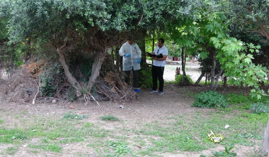 Ağaçlık alanda ölü bulundu