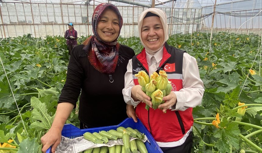 Aksulu kadın çiftçiden büyük başarı