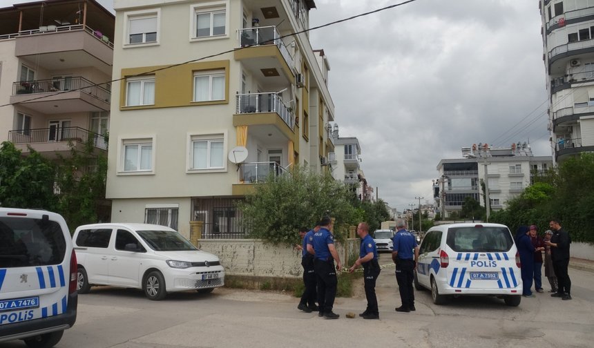 Antalya'da pompalı tüfekle dehşet saçtı