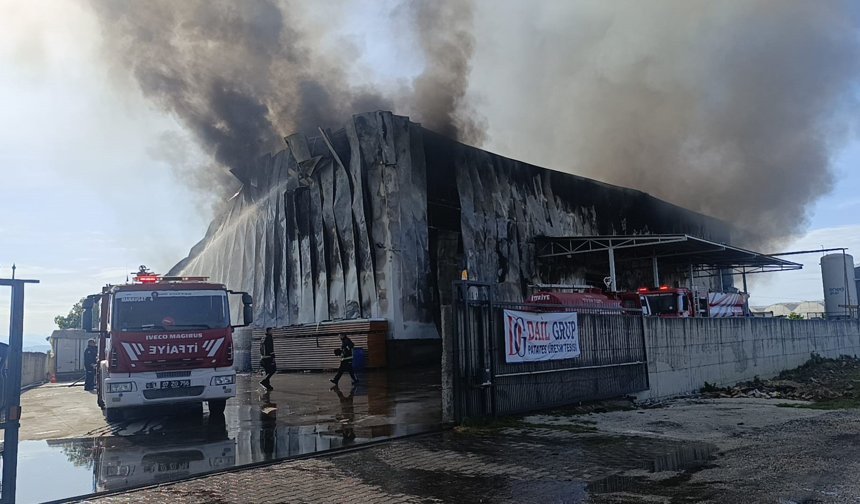 Antalya'da patates üretim tesisinde yangın