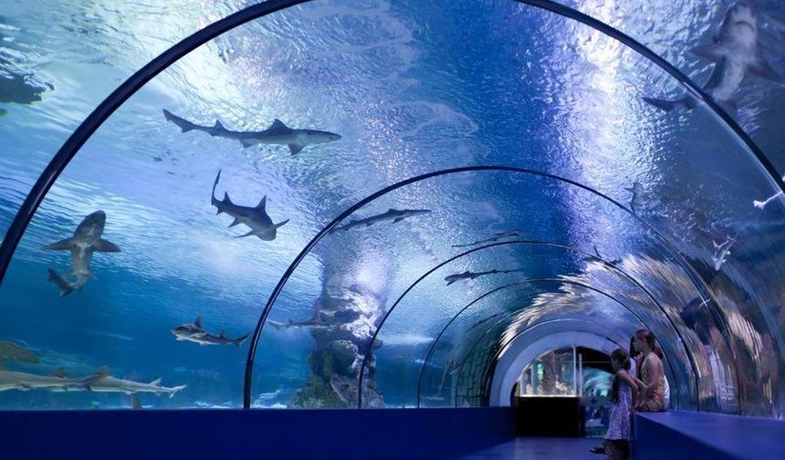 Çocuklara müjde! 4 gün boyunca girişler ücretsiz