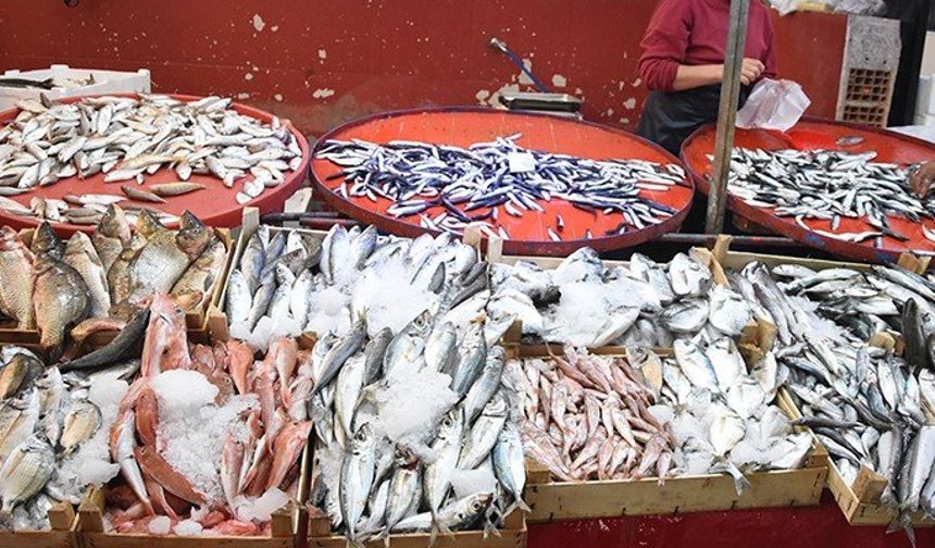 Yasak öncesi balık fiyatlarında durum ne?