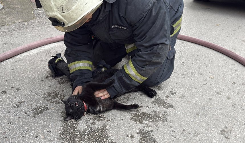 Kalp masajı ile hayata döndürdü