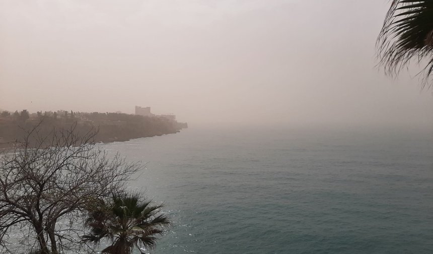 Antalya’da ürküten görüntü