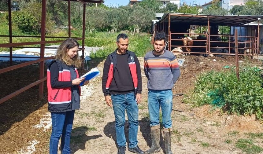 Serik'te 'buzağı ölümleri' bilgilendirmesi