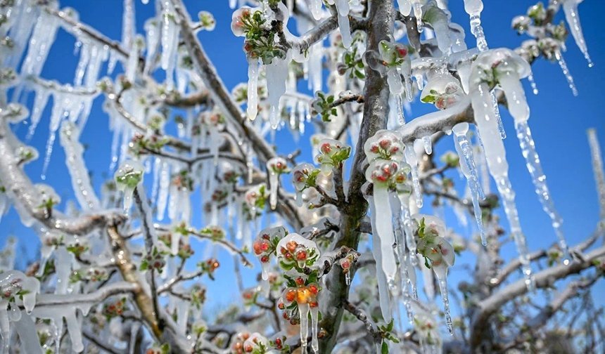 Antalya için zirai don uyarısı