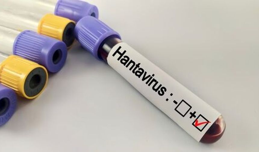 Hantavirüs nedir, nasıl korunulur?