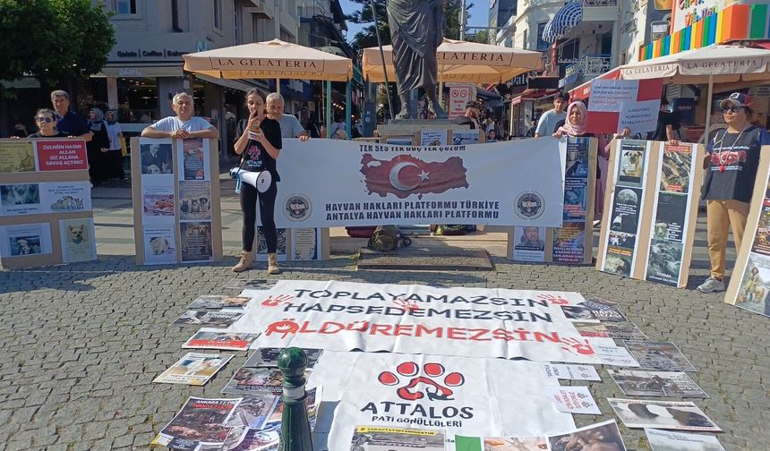 Antalya’da hayvan hakları eylemi