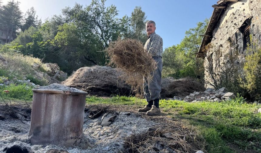 Akseki'nin şifalı bitkileri altın değerinde