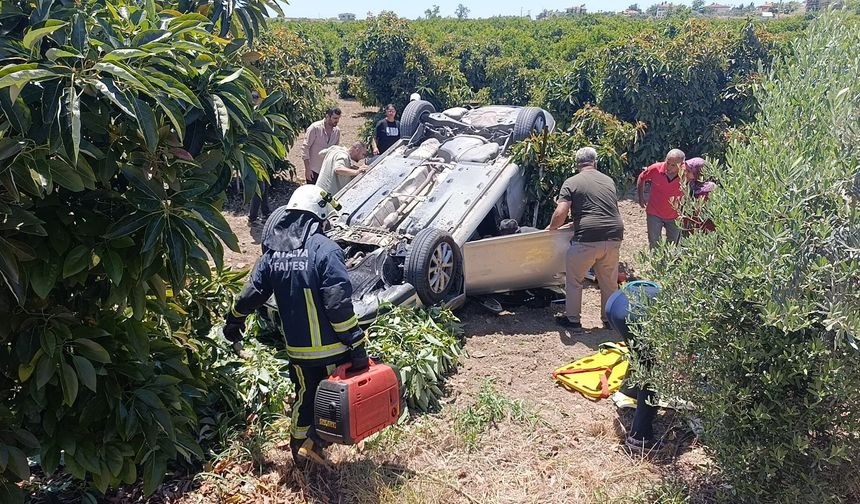Manavgat'ta otomobil avokado bahçesine uçtu
