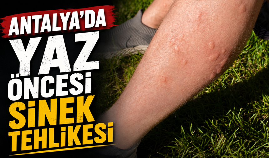 Antalya’da yaz öncesi sinek tehlikesi