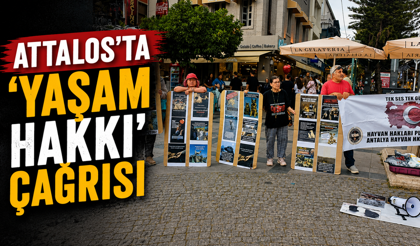 Attalos’ta ‘yaşam hakkı’ çağrısı