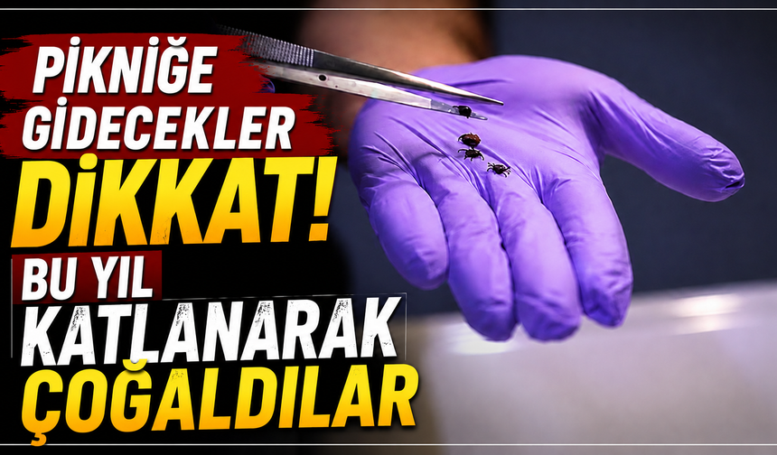 Pikniğe gidecekler dikkat!