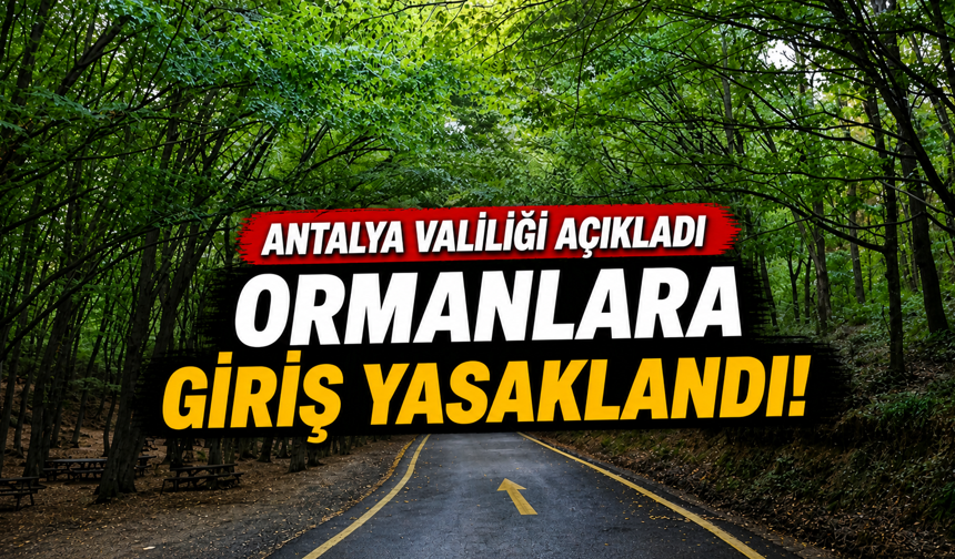 Antalya'da ormanlara giriş yasaklandı!