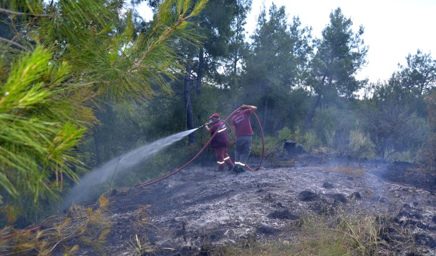 Antalya'da orman yangını
