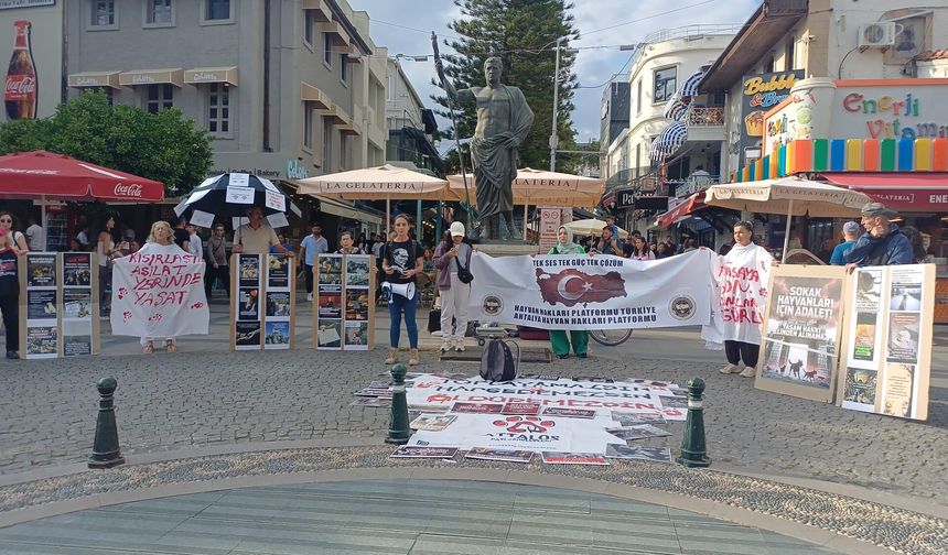 Kuşlar için bu kez Attalos’ta ses yükseldi