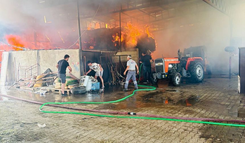 Hayvan çiftliğinde yangın: Yüz binlerce liralık zarar