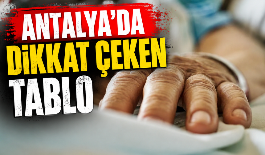 Antalya’da dikkat çeken tablo