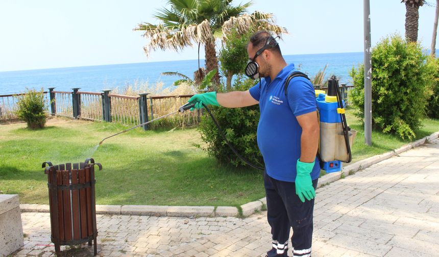19 ilçede ilaçlama çalışması