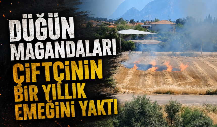 Düğün magandaları çiftçinin bir yıllık emeğini yaktı