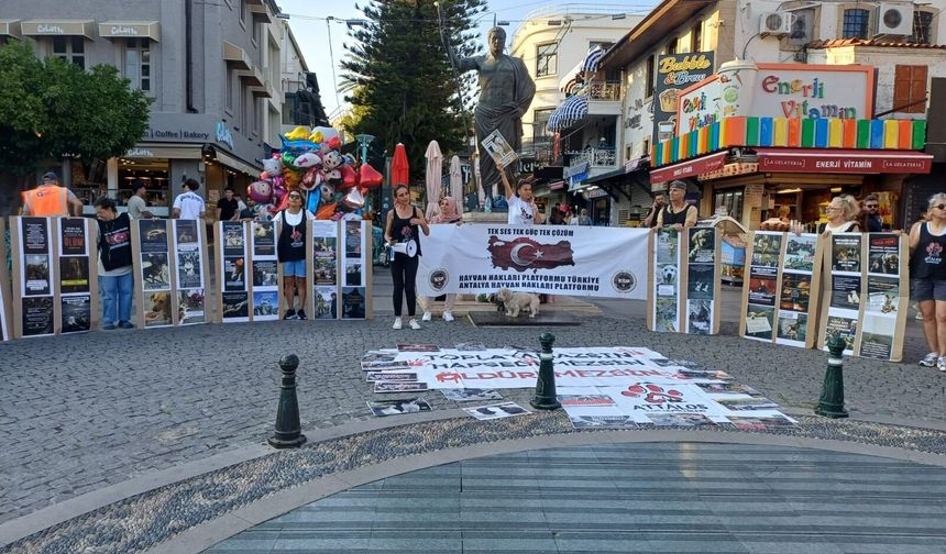 Sokak hayvanları için Antalya’da eylem