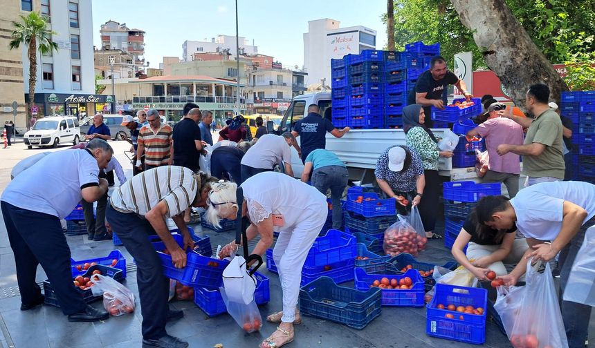 Antalya'da 4 ton domatesi dağıttı