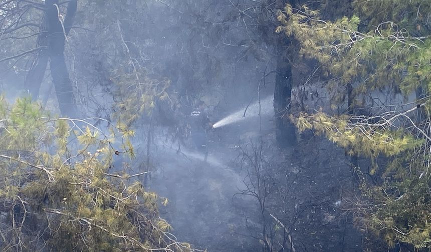 Antalya'da orman yangını