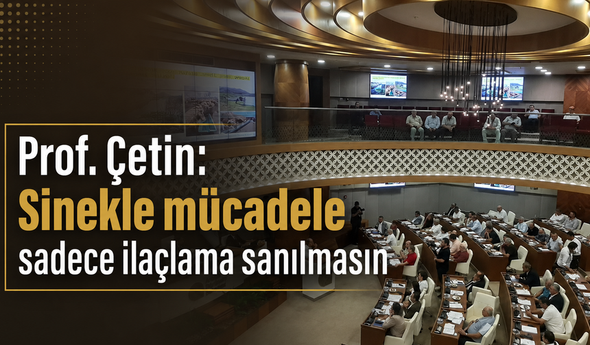 Prof. Çetin: Sinekle mücadele sadece ilaçlama sanılmasın