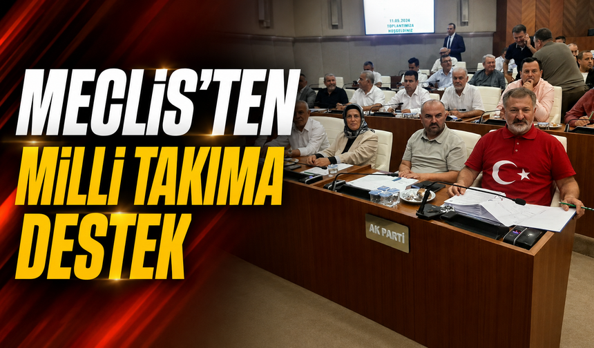 Meclis'ten milli takıma destek