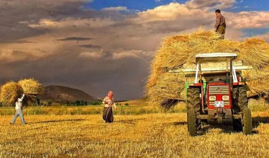 Tarımda kooperatifleşme önerisi