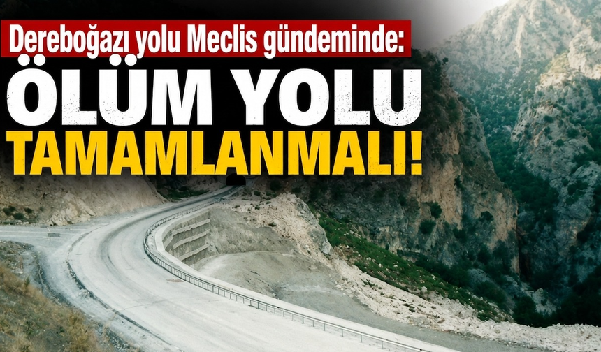 Dereboğazı yolu Meclis gündeminde