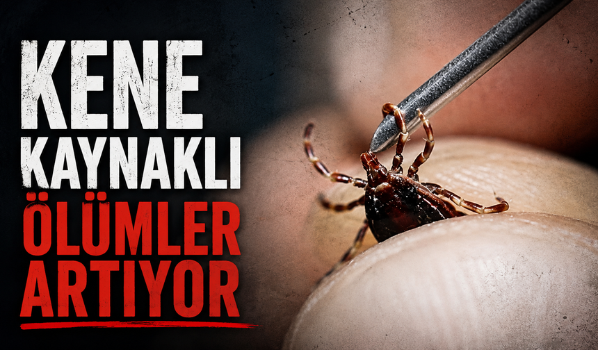 Kene kaynaklı ölümler artıyor