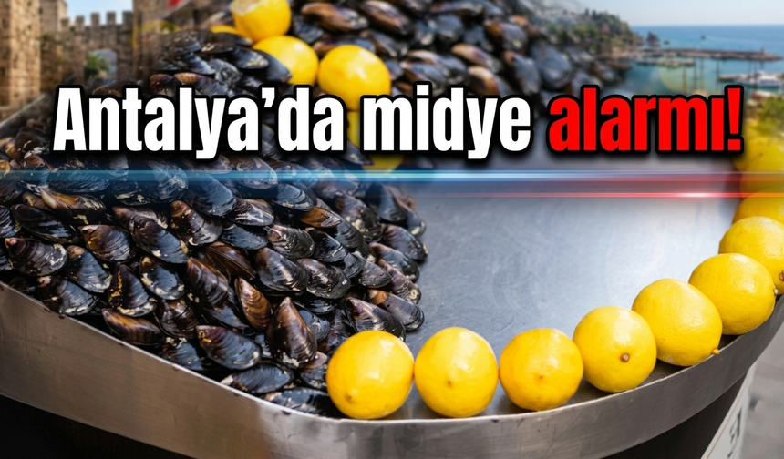 Antalya'da midye alarmı!