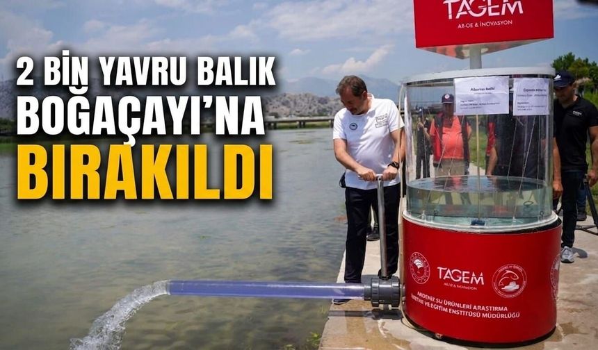 2 bin yavru balık Boğaçayı'na bırakıldı